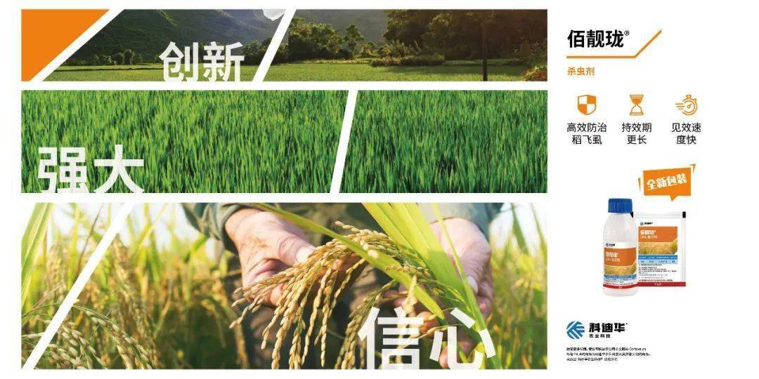 今日尿素价格<strong></p>
<p>btc价格今日行情</strong>,全线下跌!竟然跌成了这样!7月1日最新价格行情