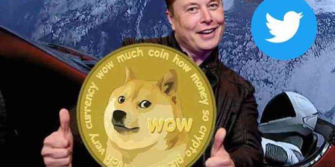 前50大Doge鲸鱼一天增持4.8亿枚、拥64%代币<strong></p>
<p>doge币行情</strong>！狗狗币大涨3成