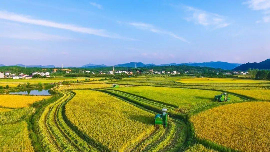 今日尿素价格<strong></p>
<p>比特币今日行情价格</strong>，集体“大幅”上涨！11月11日尿素行情