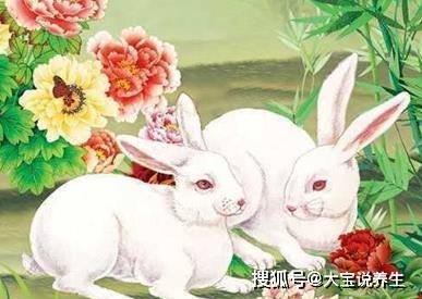 年底收入翻倍的三个生肖<strong></p>
<p>股票翻倍计算</strong>，用金钱计算器都数不过来！