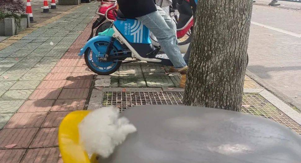 近期出门<strong></p>
<p>近期好股票</strong>，请戴好口罩