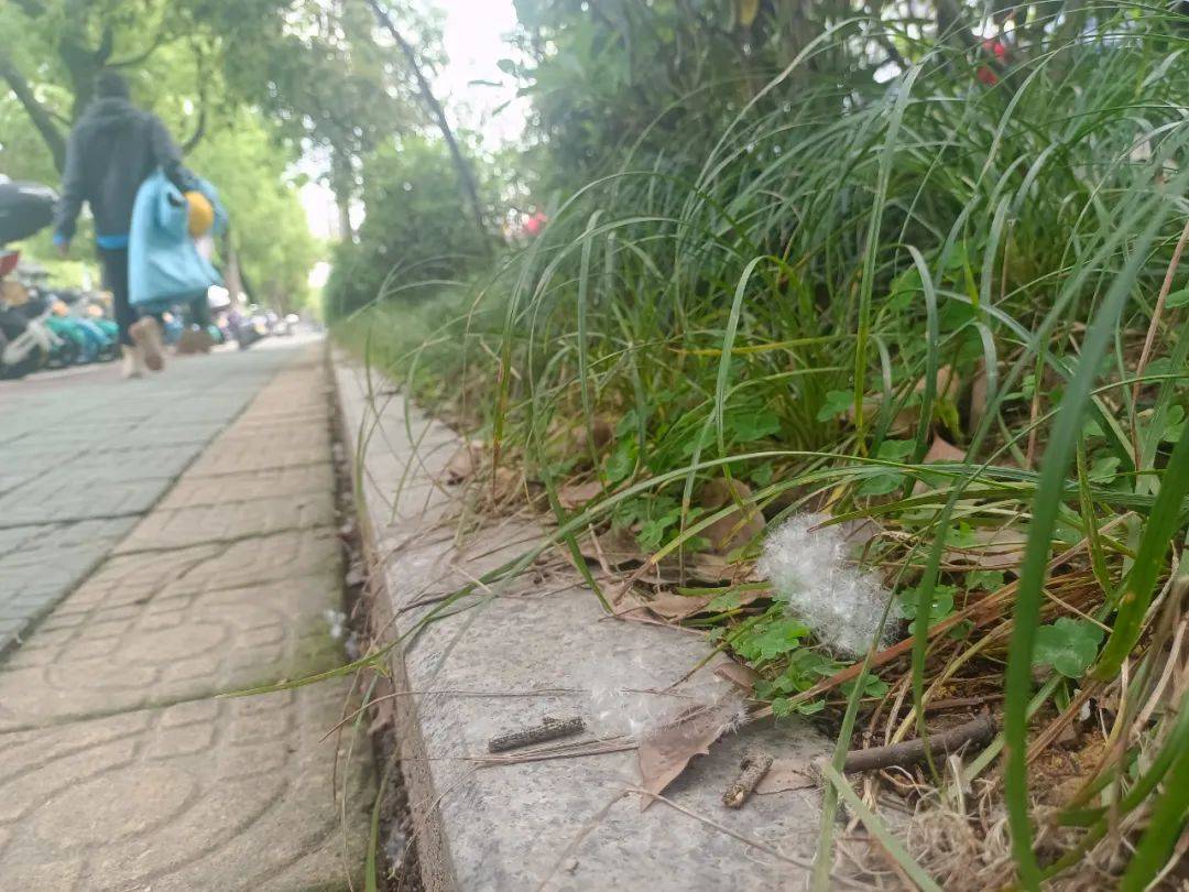 近期出门<strong></p>
<p>近期好股票</strong>，请戴好口罩