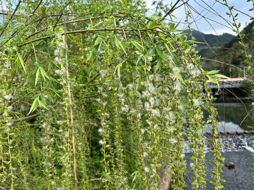 近期出门<strong></p>
<p>近期好股票</strong>，请戴好口罩