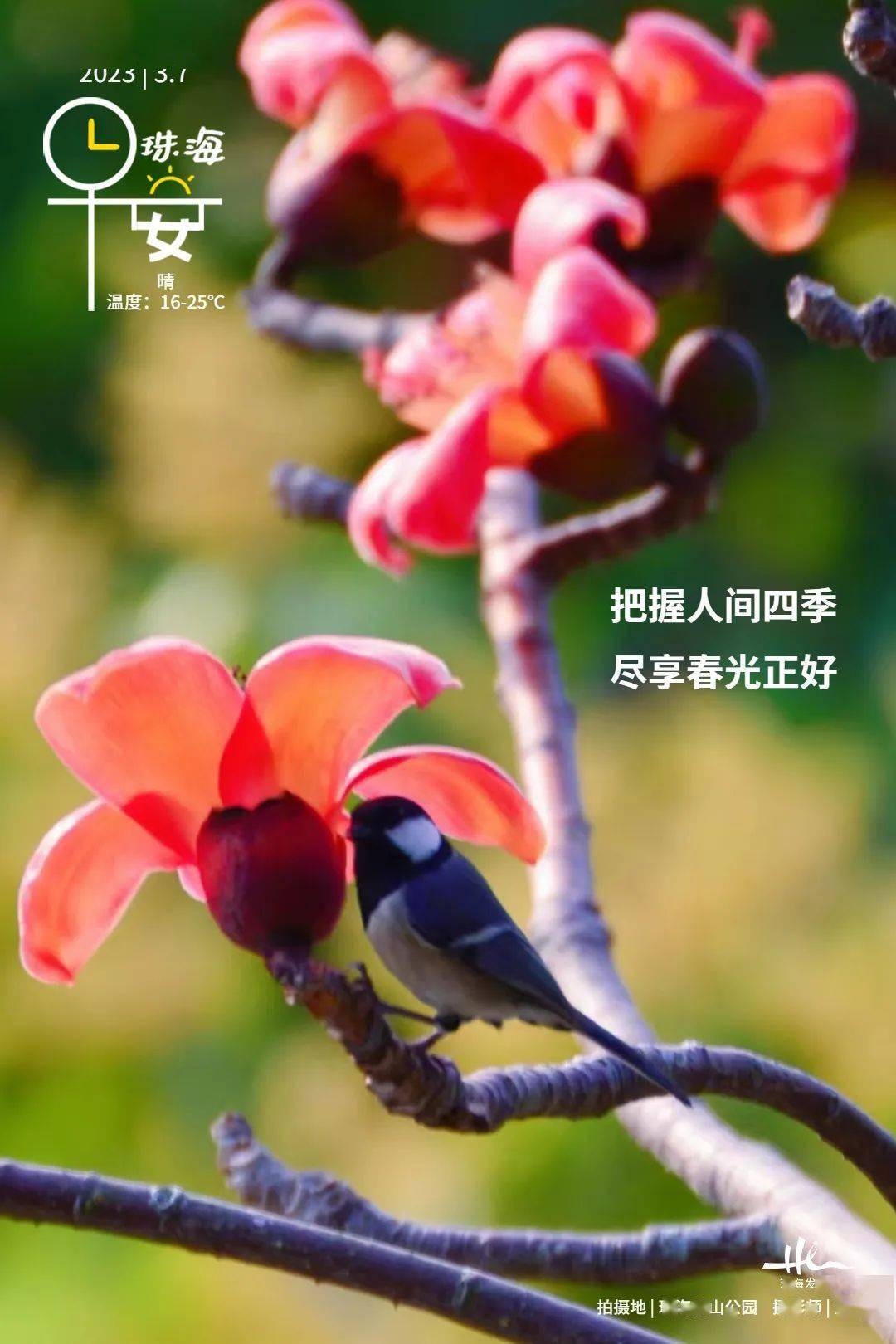 新闻早茶｜免手续费！在珠海<strong></p>
<p>火币手续费</strong>，数字人民币可以这样用……