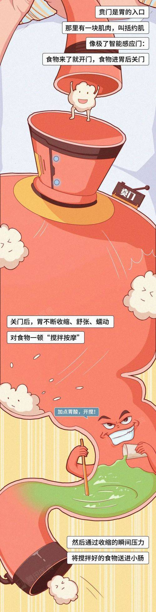 经常吃宵夜的人<strong></p>
<p>DRH虚拟币</strong>，胃会发生什么变化…