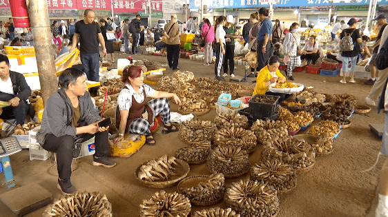 野生菌大量上市<strong></p>
<p>虚拟币上市价</strong>！全年最低价！快冲~