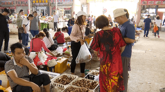 野生菌大量上市<strong></p>
<p>虚拟币上市价</strong>！全年最低价！快冲~