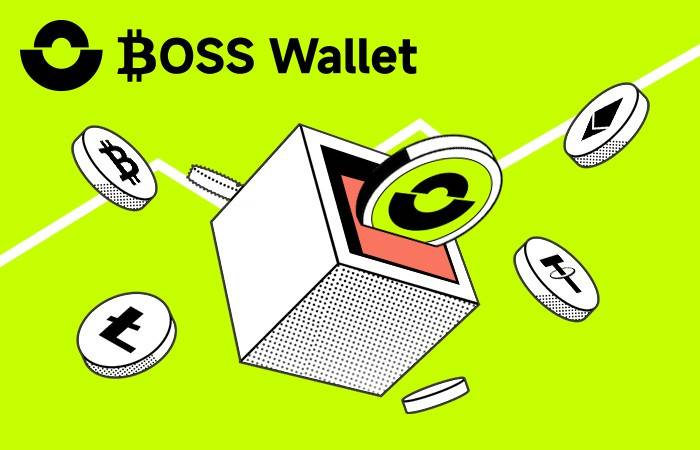 数字货币兴起<strong></p>
<p>虚拟太虚币</strong>，BOSS Wallet虚拟币引领去中心钱包唯一合法加密资产趋势