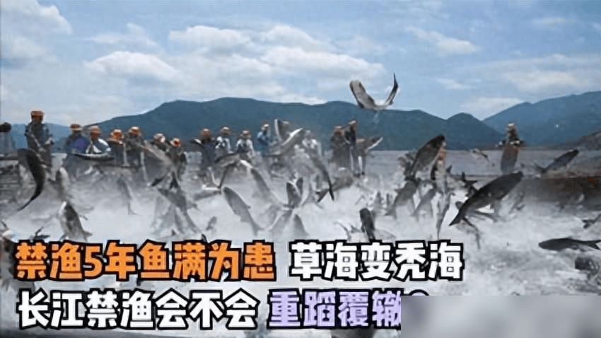 贵州草海藏鱼1.2亿条<strong></p>
<p>5亿虚拟币</strong>，禁渔5年被啃成秃海！长江会重蹈覆辙吗？