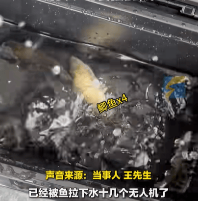 男子在家操控无人机钓鱼<strong></p>
<p>股转虚拟币</strong>，当天就钓上十几条，当事人：不要轻易尝试，已被鱼拉下水十几个无人机