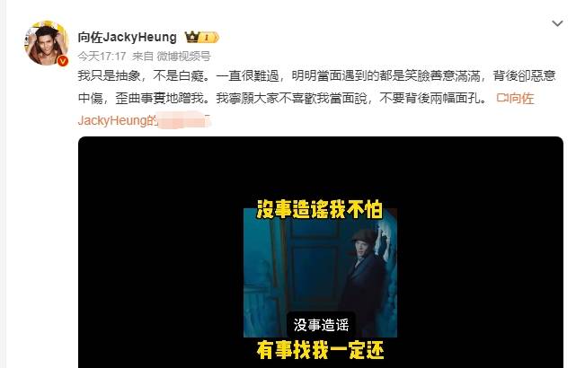 向佐再发文回应扇巴掌事件：<strong></p>
<p>虚拟币GA</strong>我只是抽象不是白痴