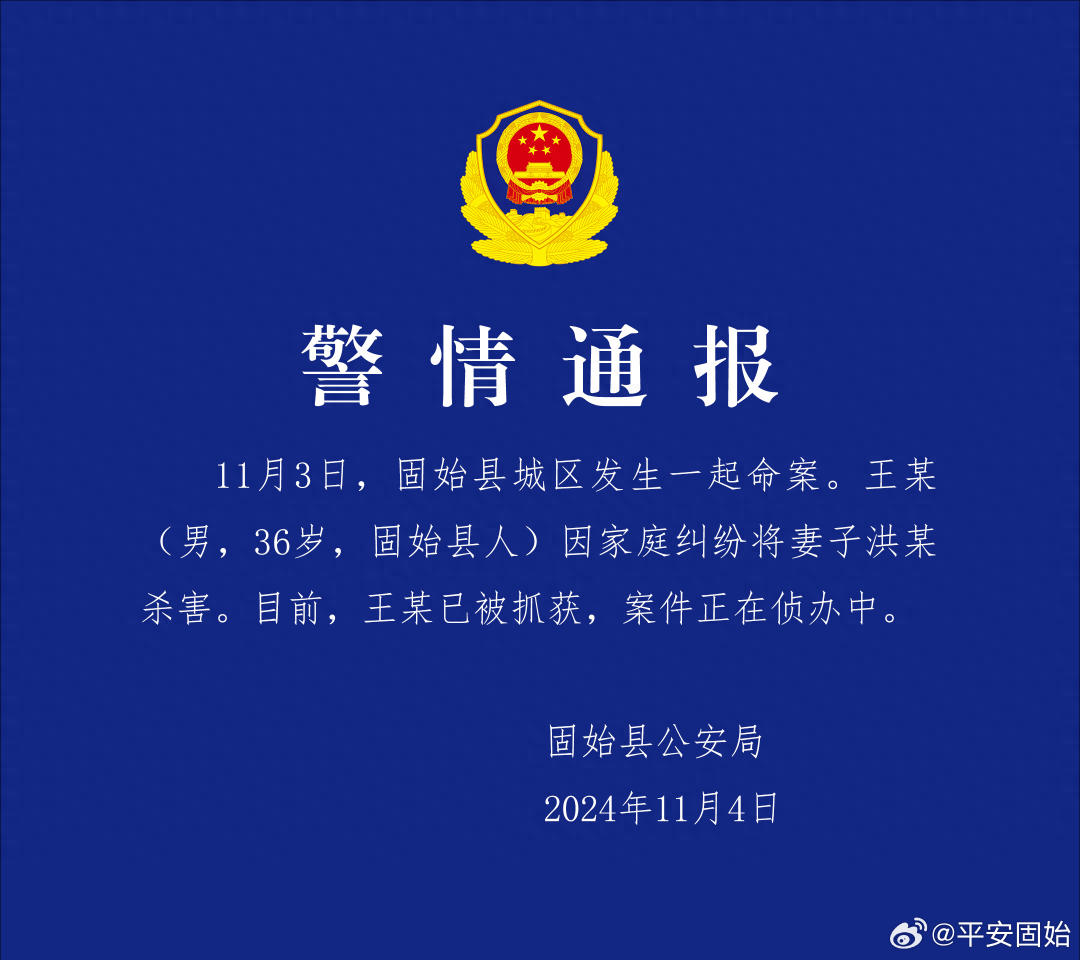 “女子去前夫家探望小孩被杀害<strong></p>
<p>虚拟币余额</strong>？”河南警方通报