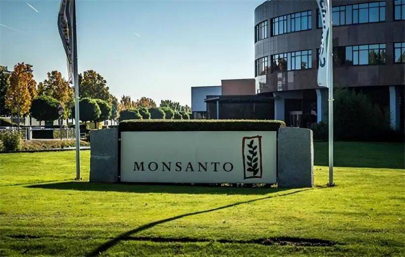 中国人吃的食品添加剂<strong></p>
<p>虚拟币换汇</strong>，真比欧美日本更多、更狠？