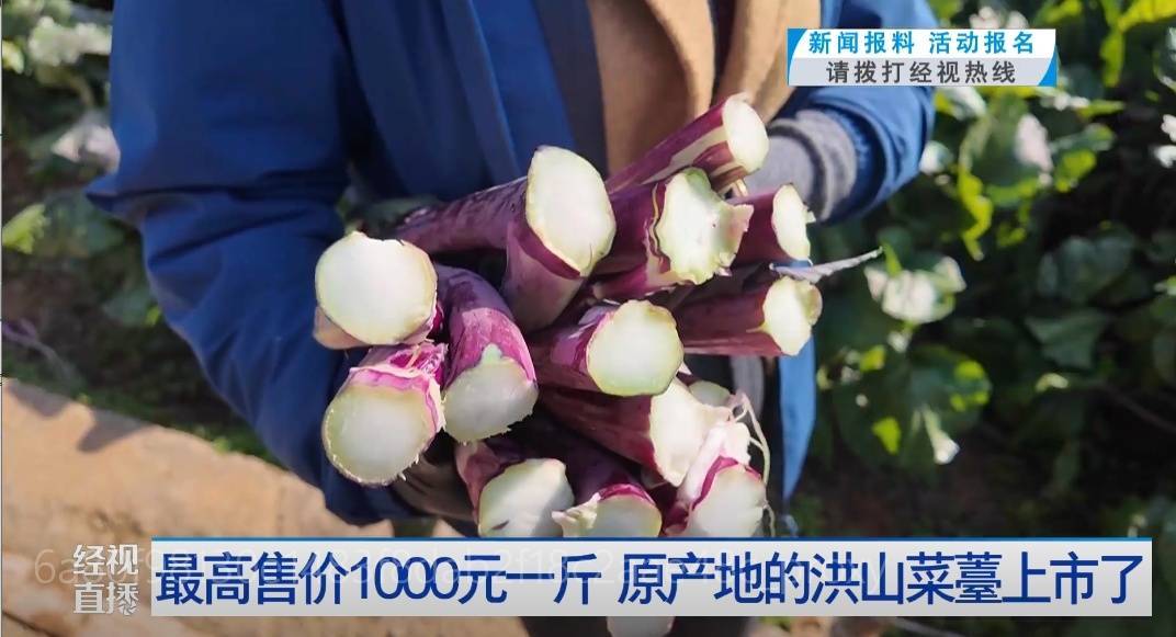 武汉人爱吃！最高1000元一斤<strong></p>
<p>虚拟ai币</strong>，供不应求