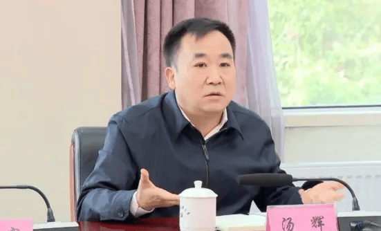 汤辉<strong></p>
<p>虚拟币个税</strong>，严重违反政治纪律、组织纪律、廉洁纪律和生活纪律