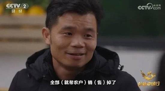 2024年末央视再度专访钟睒睒<strong></p>
<p>虚拟币群主</strong>，背后有何深意？
