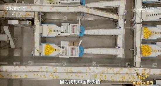 2024年末央视再度专访钟睒睒<strong></p>
<p>虚拟币群主</strong>，背后有何深意？