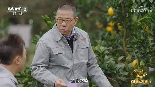 2024年末央视再度专访钟睒睒<strong></p>
<p>虚拟币群主</strong>，背后有何深意？