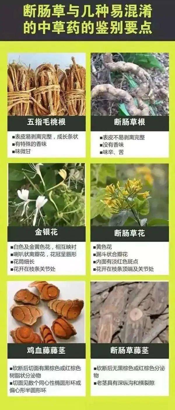 广东一老人买药材煲汤中毒身亡 当地：店铺误售断肠草<strong></p>
<p>欧尼虚拟币</strong>，老板被拘留