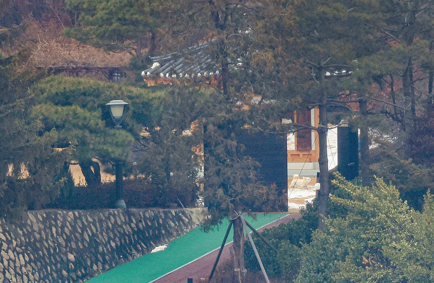 韩议员：金建希仍在总统官邸<strong></p>
<p>虚拟币脑词</strong>，“脸色很难看”，尹锡悦说她最近“吃不下东西”
