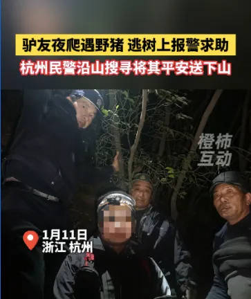 “我现在在树上<strong></p>
<p>虚拟币脑词</strong>，野猪在下面……”杭州一男子深夜报警！