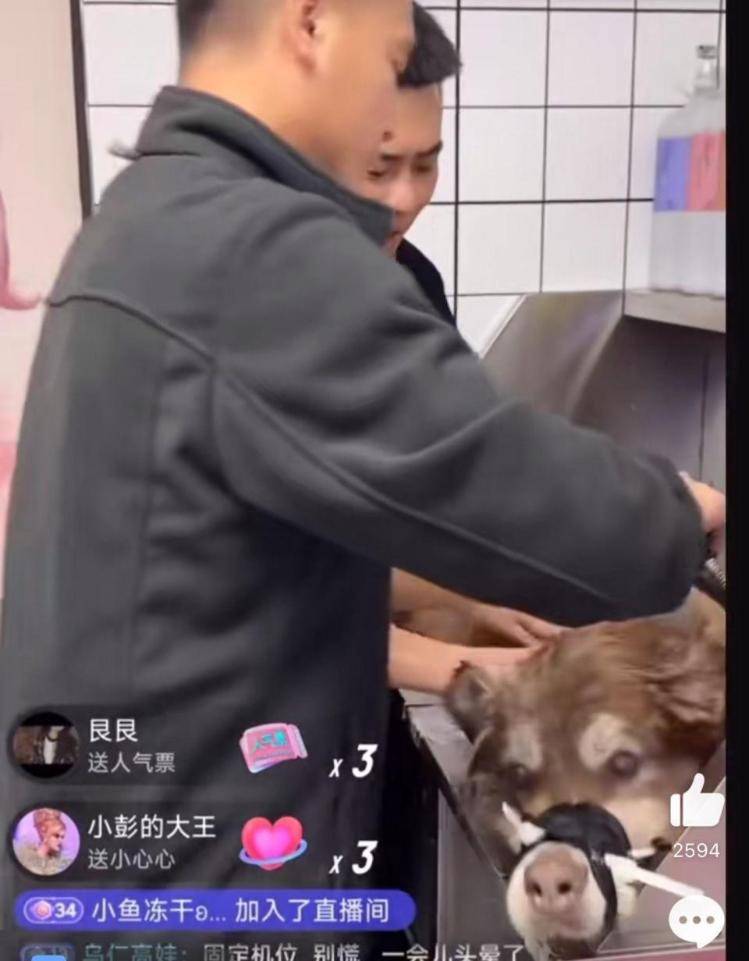 千万粉丝训犬师网红潘宏账号内容被一夜清空<strong></p>
<p>TN虚拟币</strong>，园区所在地官方：正调查