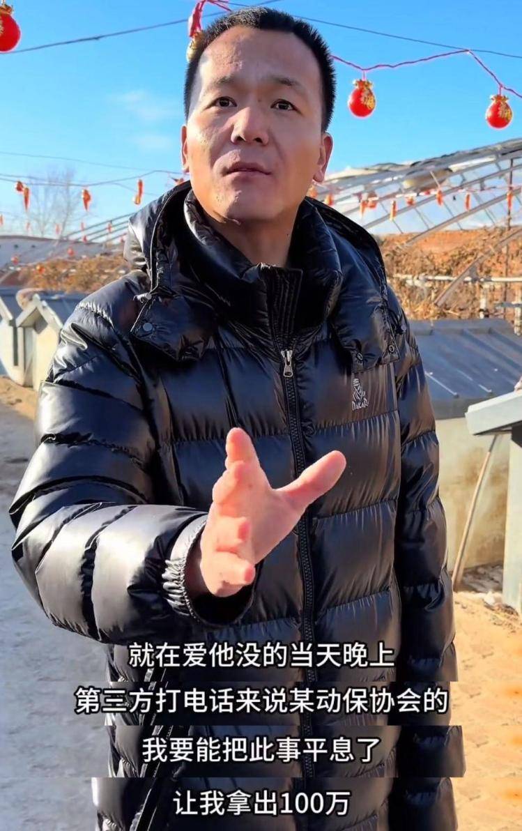 千万粉丝训犬师网红潘宏账号内容被一夜清空<strong></p>
<p>TN虚拟币</strong>，园区所在地官方：正调查