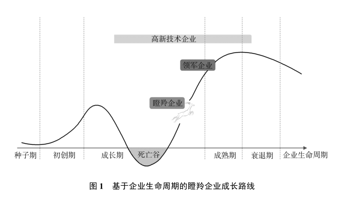 政府工作报告中的新词“瞪羚企业”<strong></p>
<p>虚拟币订阅</strong>，是什么意思