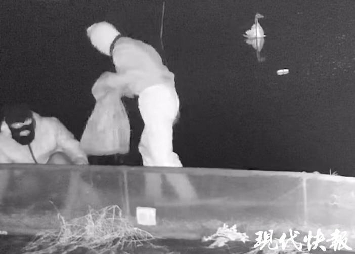 两人戴头套夜偷大闸蟹<strong></p>
<p>太原虚拟币</strong>，被抓时纳闷：怎么认出来的？