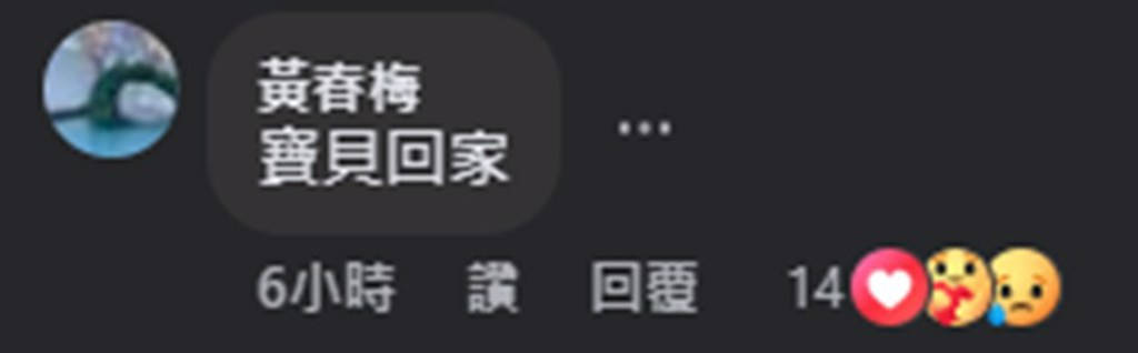 S妈分享AI大S视频 表示：<strong></p>
<p>虚拟币宝典</strong>我女儿回来了