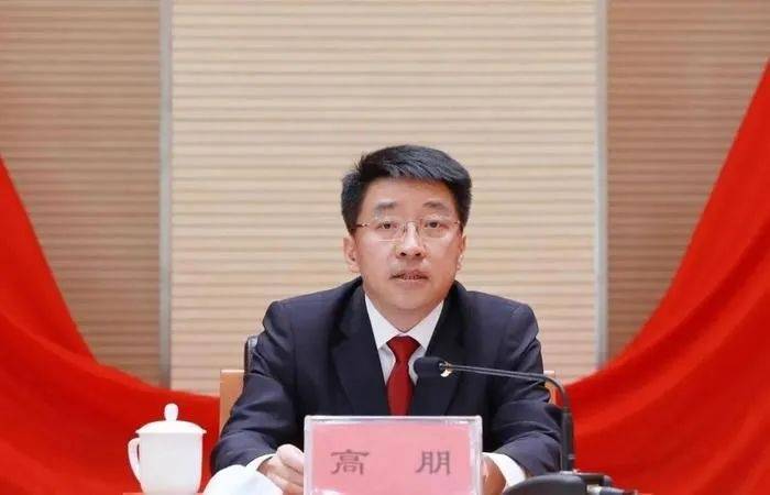 高朋被公诉<strong></p>
<p>虚拟币理论</strong>，曾是北京市最年轻副市长