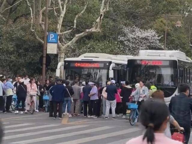 游客成队在杭州雷峰塔外堵路拦公交<strong></p>
<p>虚拟币配权</strong>，当地正实施交通管制，公交集团：已处置