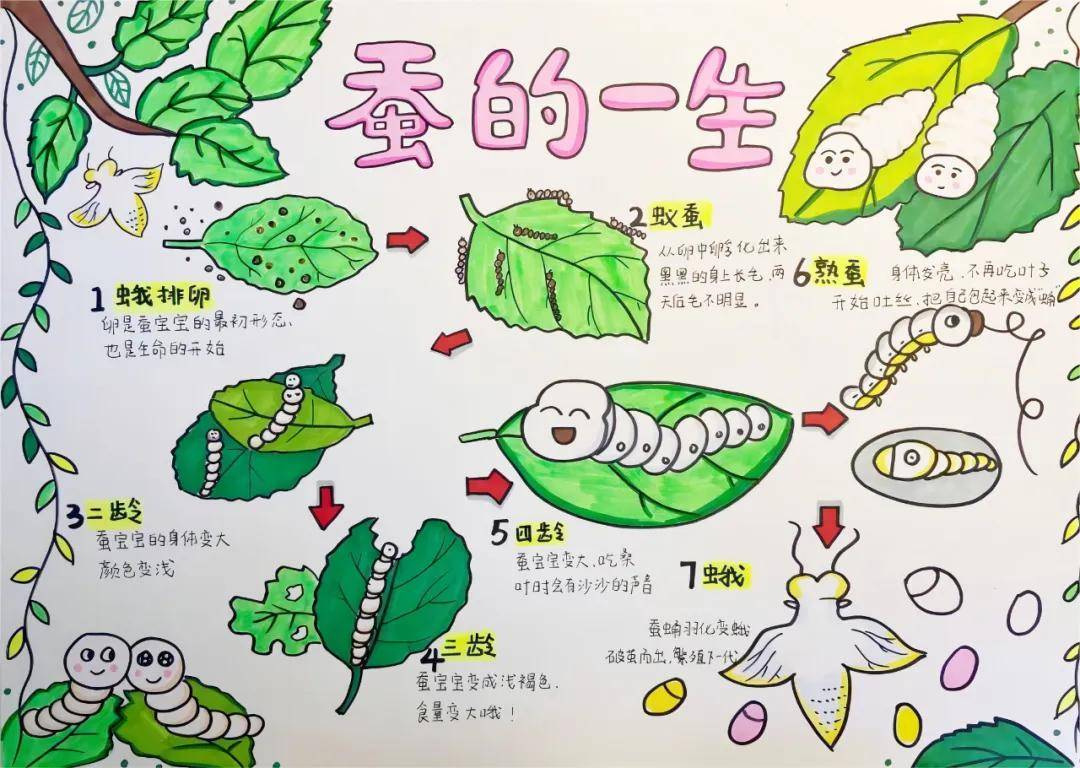 一年卖出1亿条虫！迷倒全国“10后”的小生意<strong></p>
<p>虚拟币配权</strong>，有人年入千万