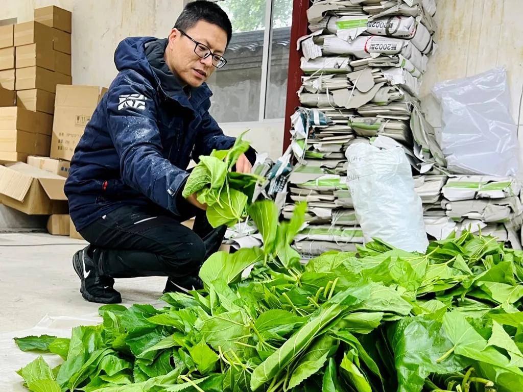 一年卖出1亿条虫！迷倒全国“10后”的小生意<strong></p>
<p>虚拟币配权</strong>，有人年入千万
