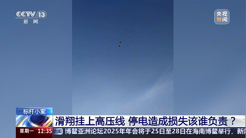 深圳女子被挂高压线！停电救援<strong></p>
<p>蜜蜂虚拟币</strong>，9池鱼死光！他怒上法庭……