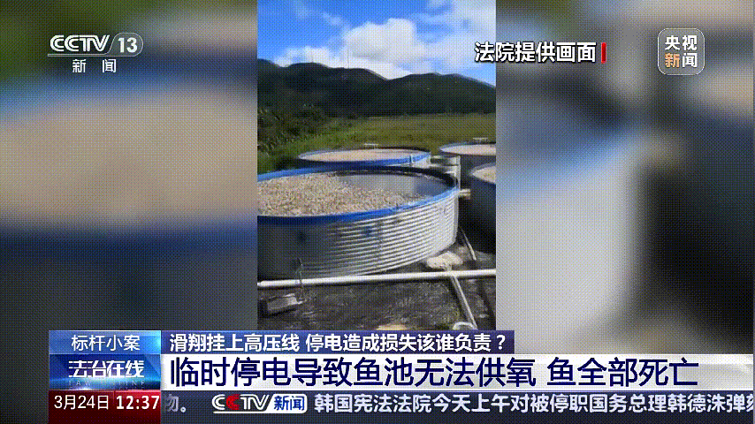 深圳女子被挂高压线！停电救援<strong></p>
<p>蜜蜂虚拟币</strong>，9池鱼死光！他怒上法庭……