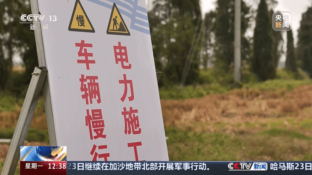 深圳女子被挂高压线！停电救援<strong></p>
<p>蜜蜂虚拟币</strong>，9池鱼死光！他怒上法庭……