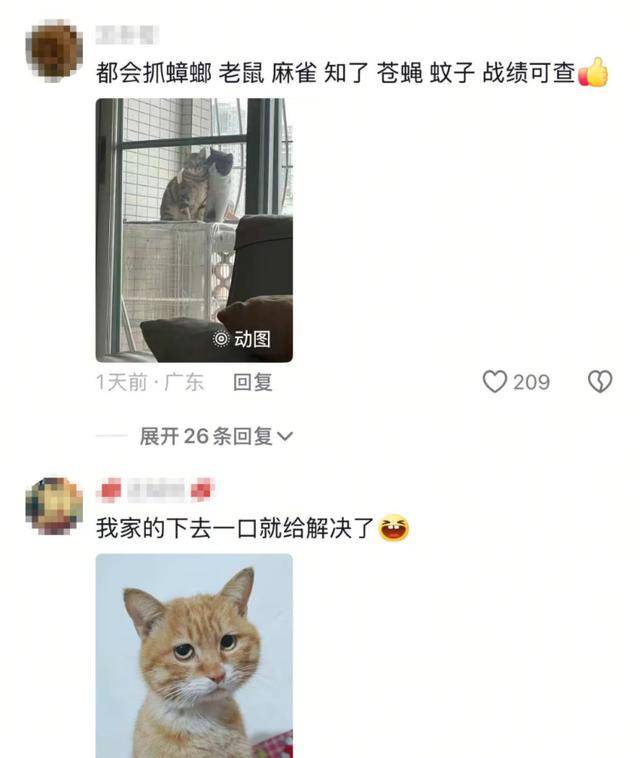 老鼠掉进泳池<strong></p>
<p>蜜蜂虚拟币</strong>，广东大叔出动鸡猫狗团队，结果全被老鼠吓跑！网友坐不住纷纷晒战绩