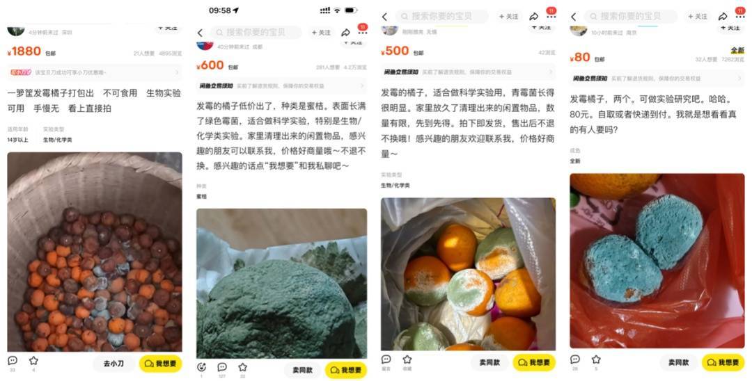 突然火了<strong></p>
<p>虚拟币台币</strong>！有人卖500元一个！网友：后悔扔了……