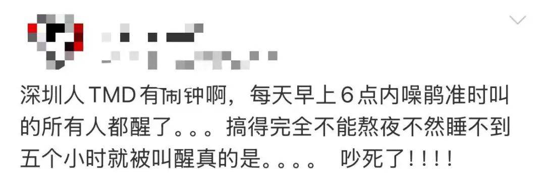 “周末想睡个懒觉都不行”<strong></p>
<p>TG虚拟币</strong>，有多少深圳人被这种鸟吵到神经衰弱
