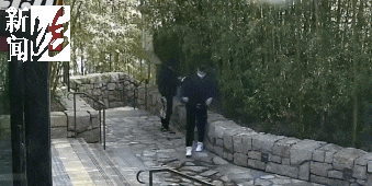 太猖狂！事发上海迪士尼<strong></p>
<p>极域虚拟币</strong>，7人被刑拘