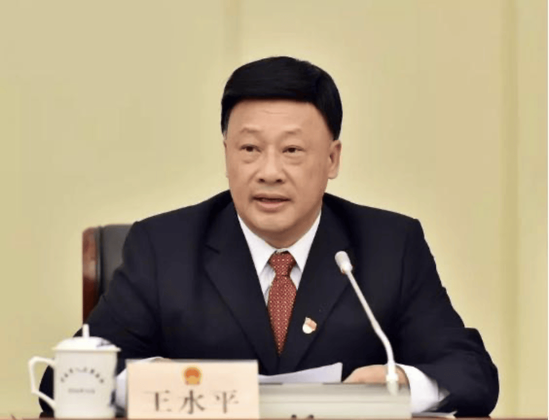 王水平<strong></p>
<p>极域虚拟币</strong>，主动向组织交代问题