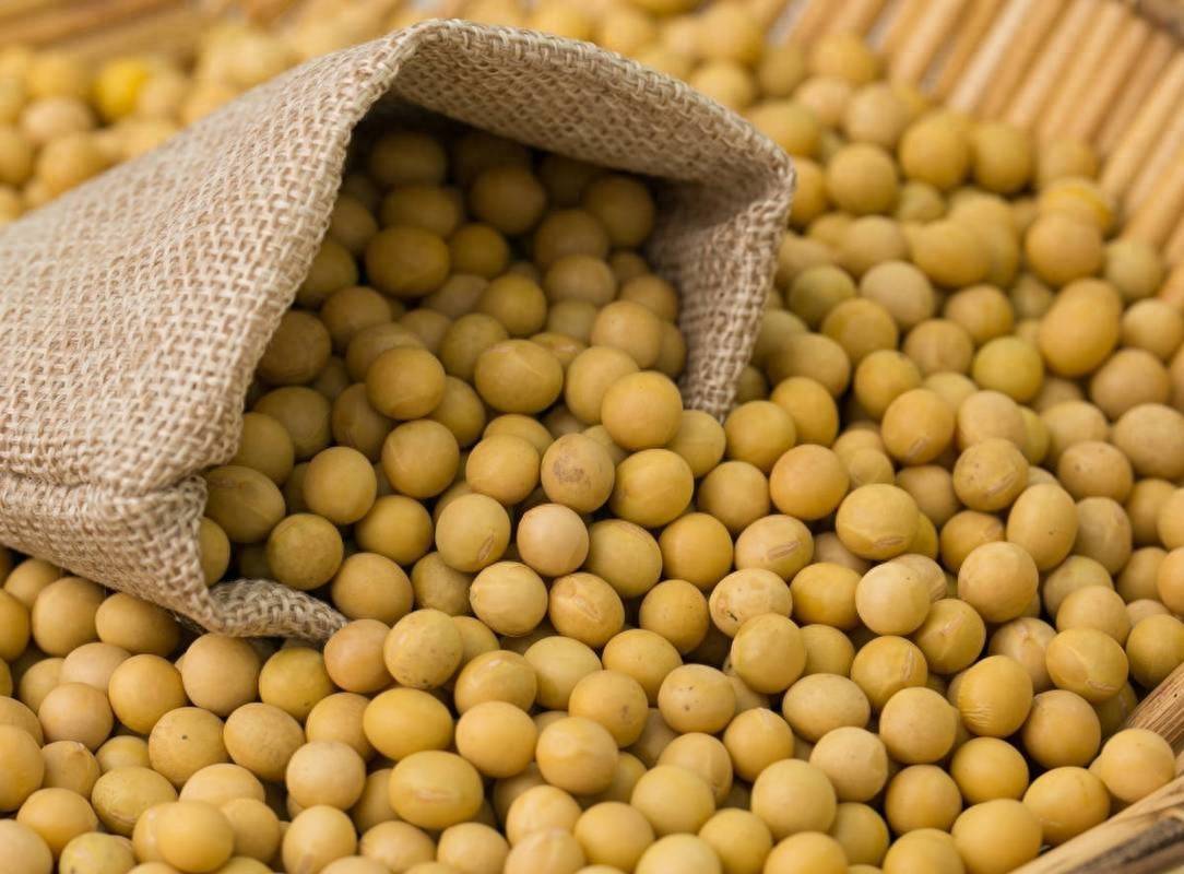 中方终于出手，40艘巨轮开往中国，美国担心的事还是来了