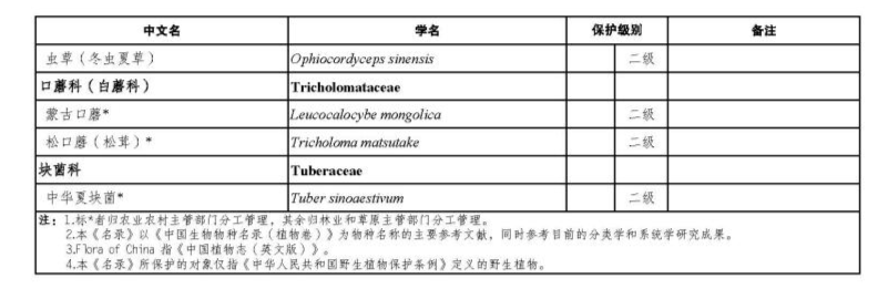 价值18万余元！男子在祁连山非法收购5632根冬虫夏草<strong></p>
<p>悟空虚拟币</strong>，构成危害国家重点保护植物罪获刑