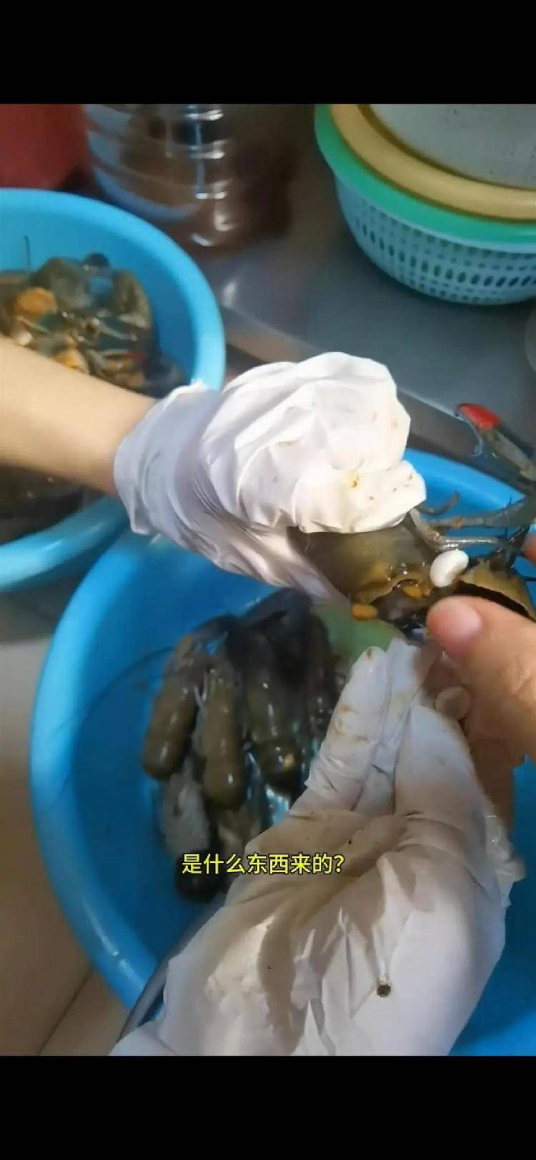 女子小龙虾里剥出多颗“龙珠”<strong></p>
<p>牛玩虚拟币</strong>，专家解读其来历