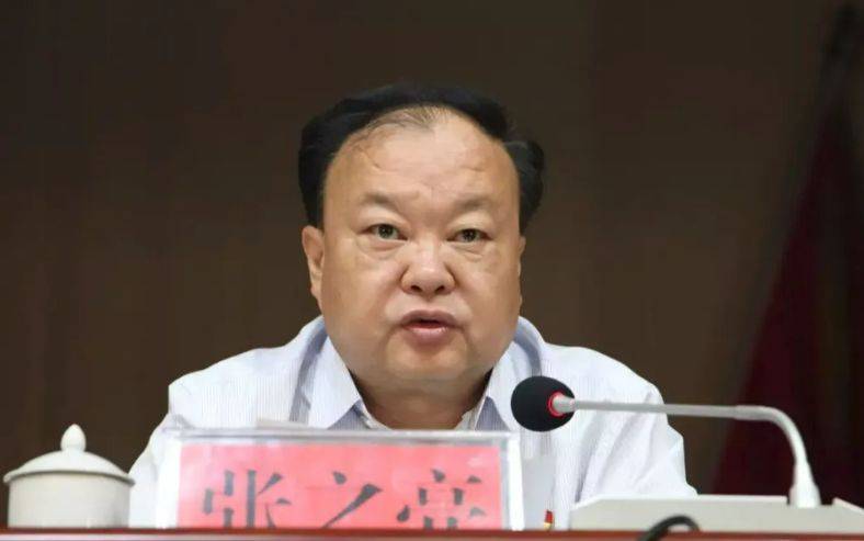 中央提级巡视期间<strong></p>
<p>虚拟币网文</strong>，已降级、退休的张之亮，官宣落马！