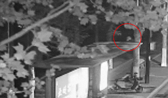 江苏一男子戴仿真“人皮”面具入室盗窃<strong></p>
<p>虚拟币账款</strong>，流窜多个小区作案，涉案金额达15万余元