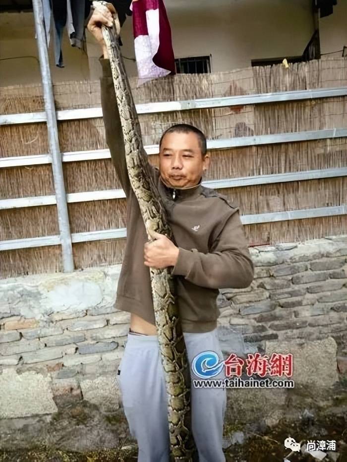 女游客疑被蛇咬伤身亡后<strong></p>
<p>虚拟币FN</strong>，博主“啊宝”讲毒蛇1天涨粉190万