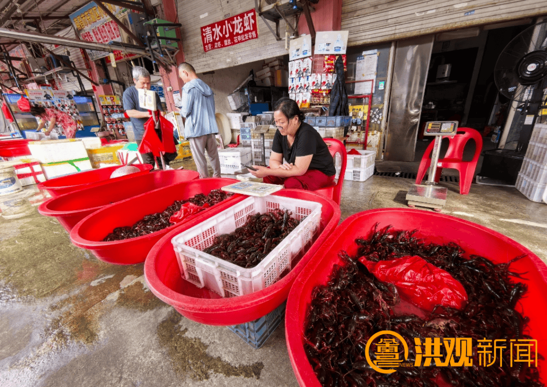 价格腰斩<strong></p>
<p>虚拟榴莲币</strong>！13元/斤！南昌正大量上市