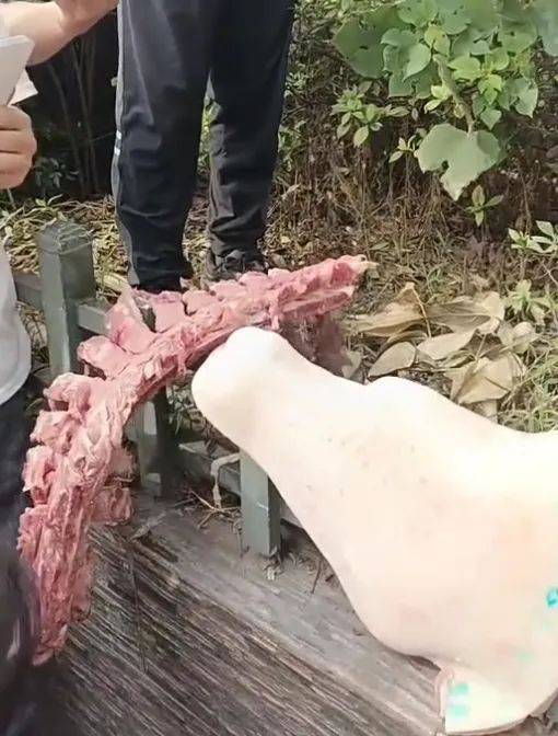 四川一小学食堂被举报使用劣质肉<strong></p>
<p>虚拟币杀猪</strong>，市监局：已封存并抽样检测